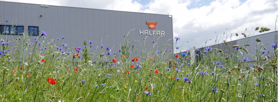 halfar portrait slider - Halfar: Biotope for good bags