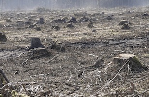 shutterstock 2597406761 - Trends that will shape 2026