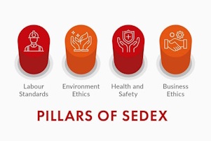 Pillars of Sedex - Home