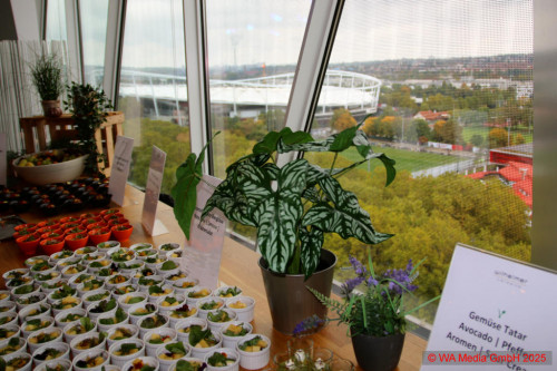 Daiber Fashion Show Gallery 04 DCE - Daiber Fashion Show at the Mercedes-Benz Museum