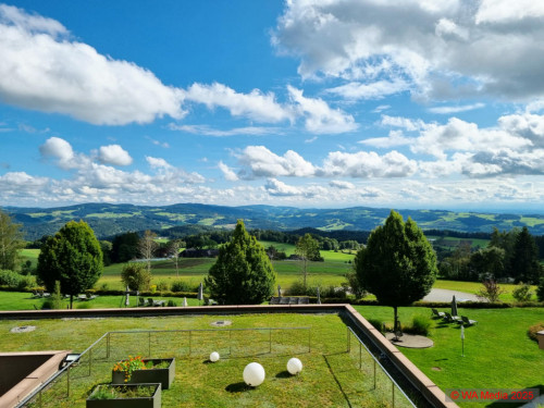 Gipfeltreffen 01 DCE - Summit Meeting: New path for Fare, Halfar and mbw