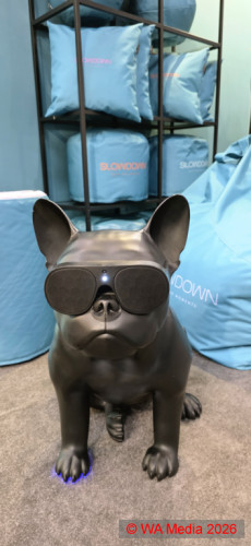 PSI 2026 33 DCE - PSI 2026: Warming business in the snowstorm