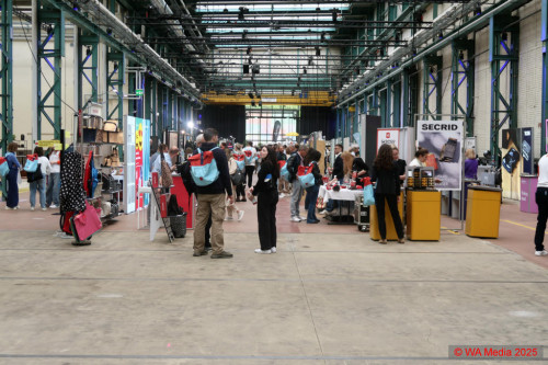 Pandinavia2025 35 DCE - Pandinavia Summit: Conquered the peak