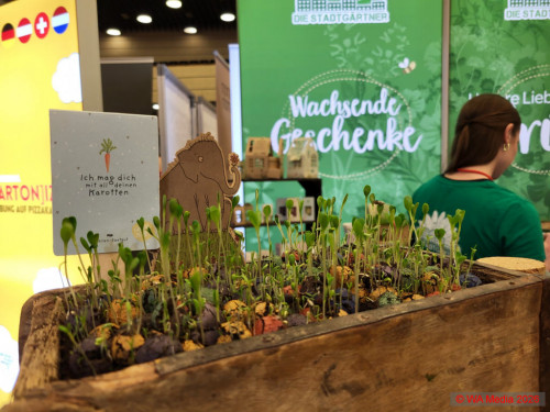 24 SK278 DCE - HAPTICA live: Merch wins