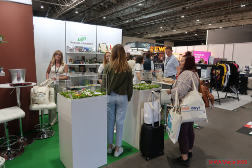 FW2026 03 DCE - Festiwal Marketingu: Starting signal for the year-end business