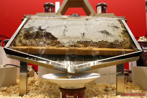 PSI 2019 040 DCE - PSI 2019